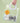 Automatic Fruit Juicer